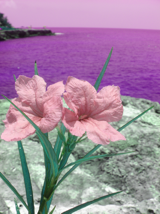 Hue rotated 90 deg