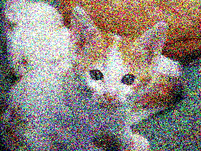 An image of a kitten made with points of one of eight possible colors