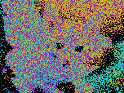 A 400x300 image of a kitten, drawn in small bits of cyan, magenta, yellow, and black.