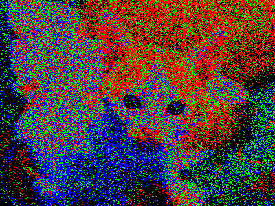 A 400x300 image of a kitten, drawn in small bits of red, green, blue, and black.