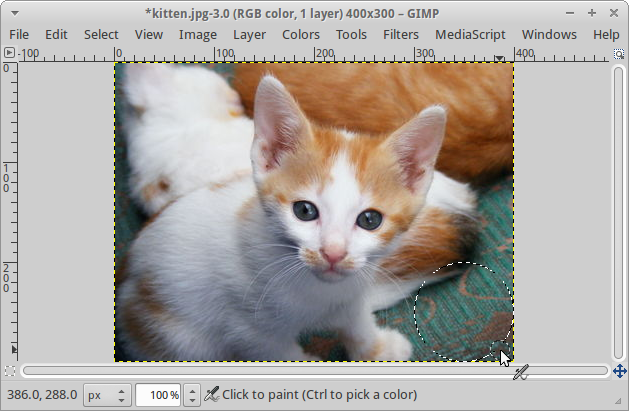 A GIMP window with a 400x300 image of a kitten. A circular region in the lower-right-hand corner is selected. That region contains a swatch of green carpet.